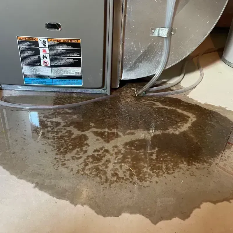 Appliance Leak Cleanup in Bridgeport, WV